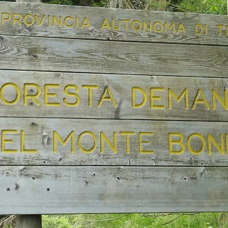 Сasa de vacaciones Casa Pederzolli - *